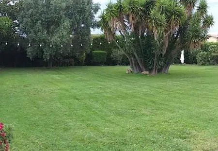 Garden Basement - Seminterrato Max 4 Ospiti - Vicino Aeroporto E Fiera 피우미치노