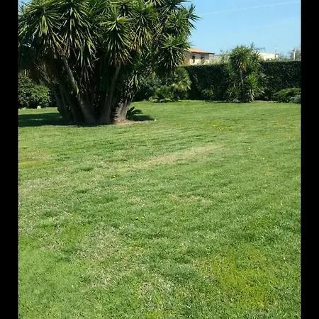 Garden Basement - Seminterrato Max 4 Ospiti - Vicino Aeroporto E Fiera *