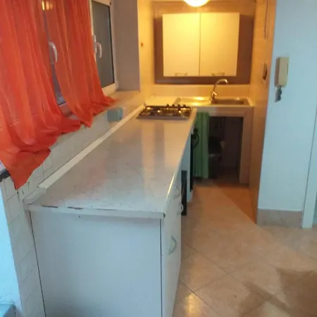 Garden Basement - Seminterrato Max 4 Ospiti - Vicino Aeroporto E Fiera 아파트 피우미치노